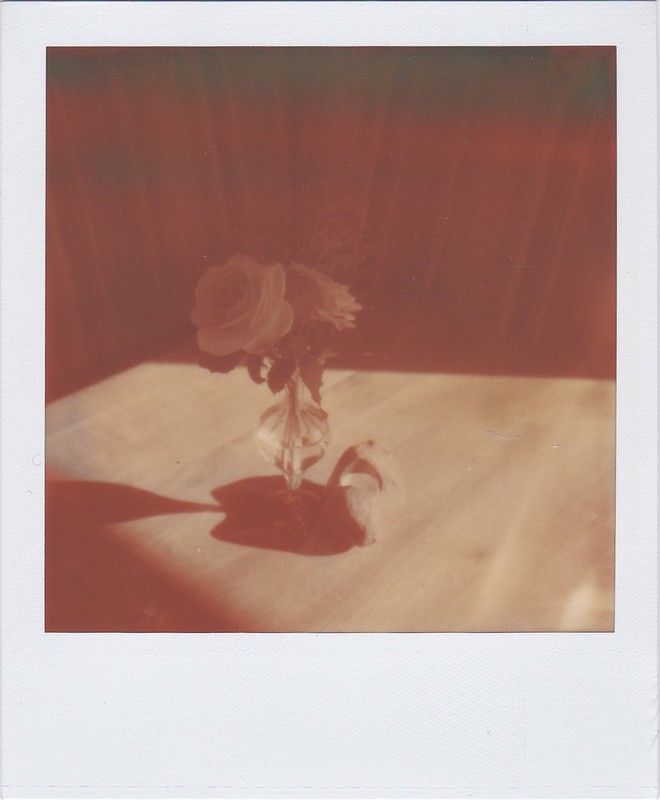 Roses in a small vase on a table.