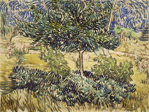 Tree and Bushes in the Garden of the Asylum (1889)